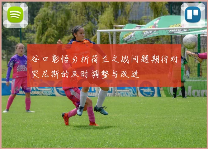谷口彰悟分析荷兰之战问题期待对突尼斯的及时调整与改进