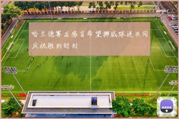 哈兰德赛后感言希望挪威球迷共同庆祝胜利时刻