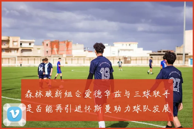 森林狼新组合爱德华兹与三球联手是否能再引进怀斯曼助力球队发展